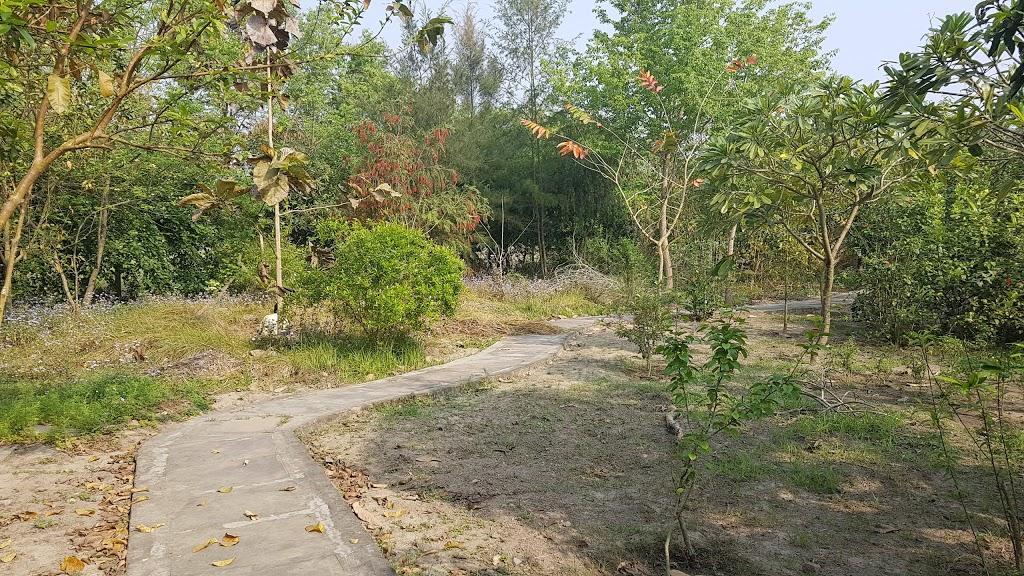 V Resorts Dudhwa Wilderness Camp Lakhimpur Extérieur photo