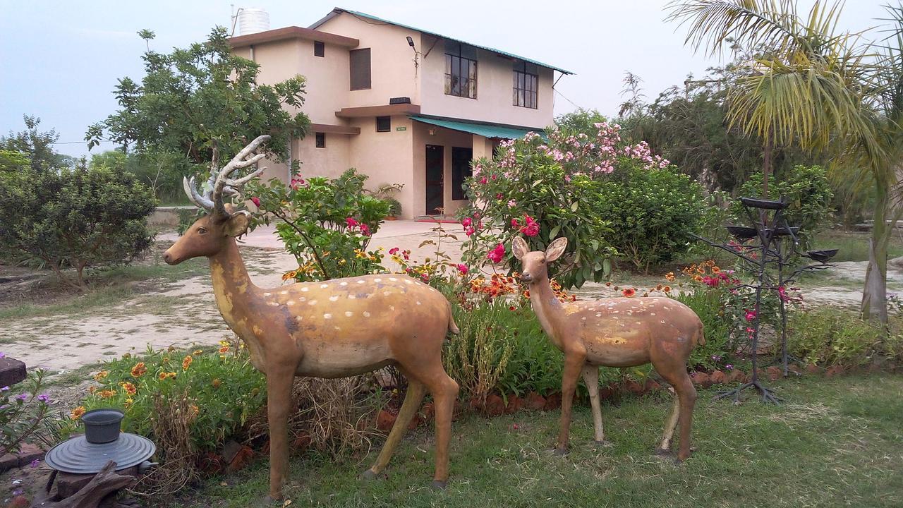 V Resorts Dudhwa Wilderness Camp Lakhimpur Extérieur photo